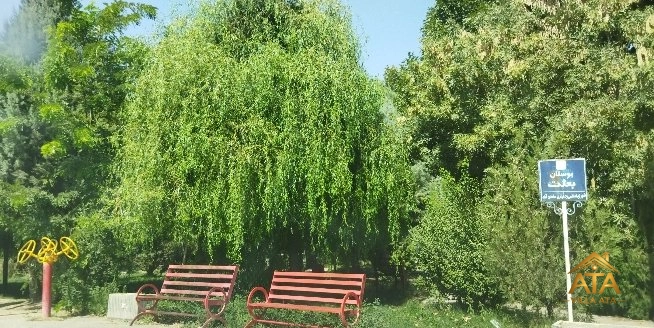 پارکت بعثت در روستای آران تهراندشت