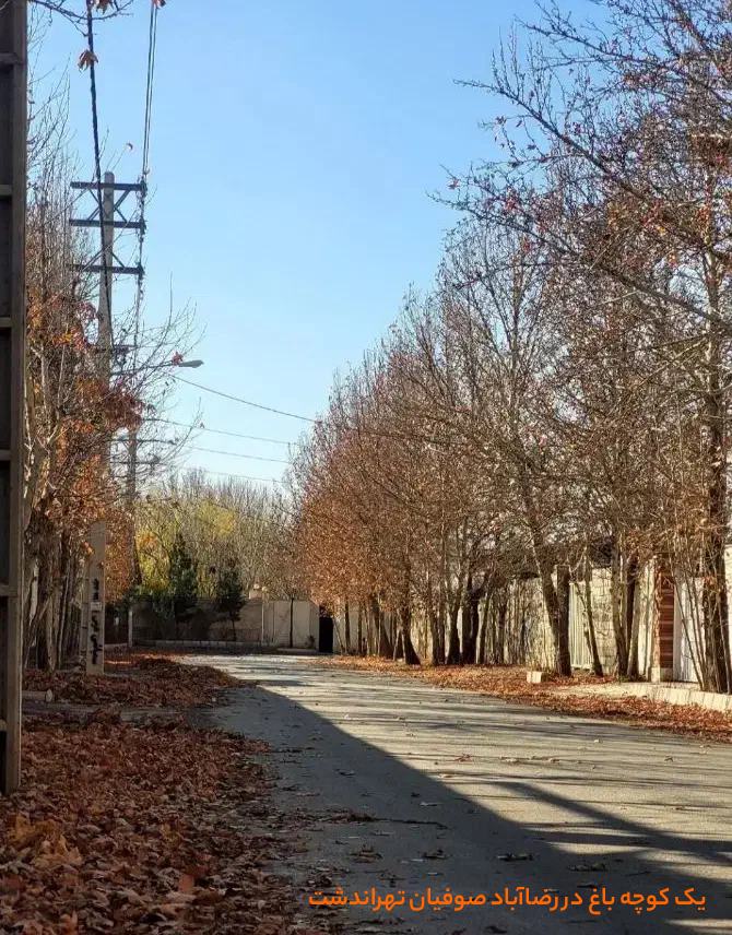 یک کوچه باغ ویلایی در رضاآباد تهراندشت