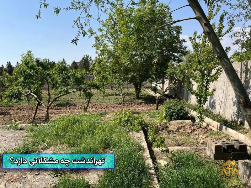 تهراندشت چه مشکلاتی دارد؟